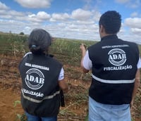 Servidores da Adab BA durante uma fiscalização (Foto: Divulgação)