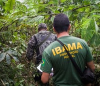 Servidor do Ibama em atividade (Foto: Vinícius Mendonça/Ibama)