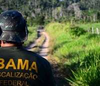 Servidor do Ibama de costas (Foto: Governo Federal)