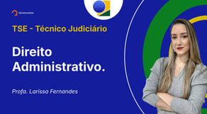 TSE - Técnico Judiciário - Aula de Direito Administrativo.: Responsabilidade do servidor público