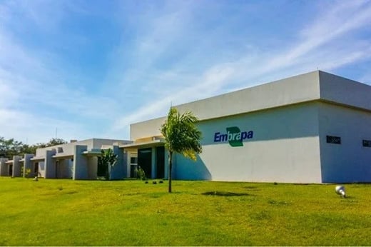 Concurso Embrapa: minuta do edital com 1.027 vagas é elaborada